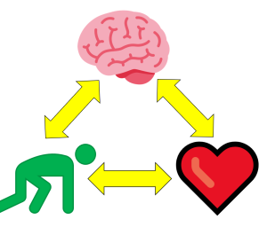CBT logo - thoughts, feelings, behaviors are all interconnected
