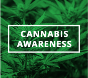 Cannabis Awareness